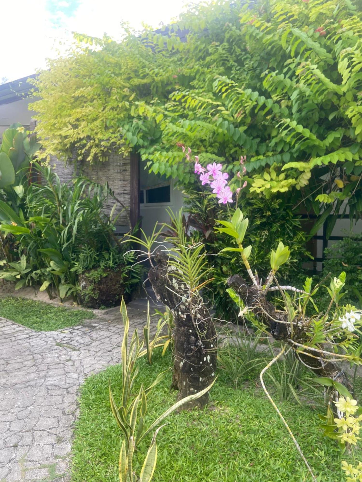 Hotel Vivo Siargao à General Luna  Extérieur photo